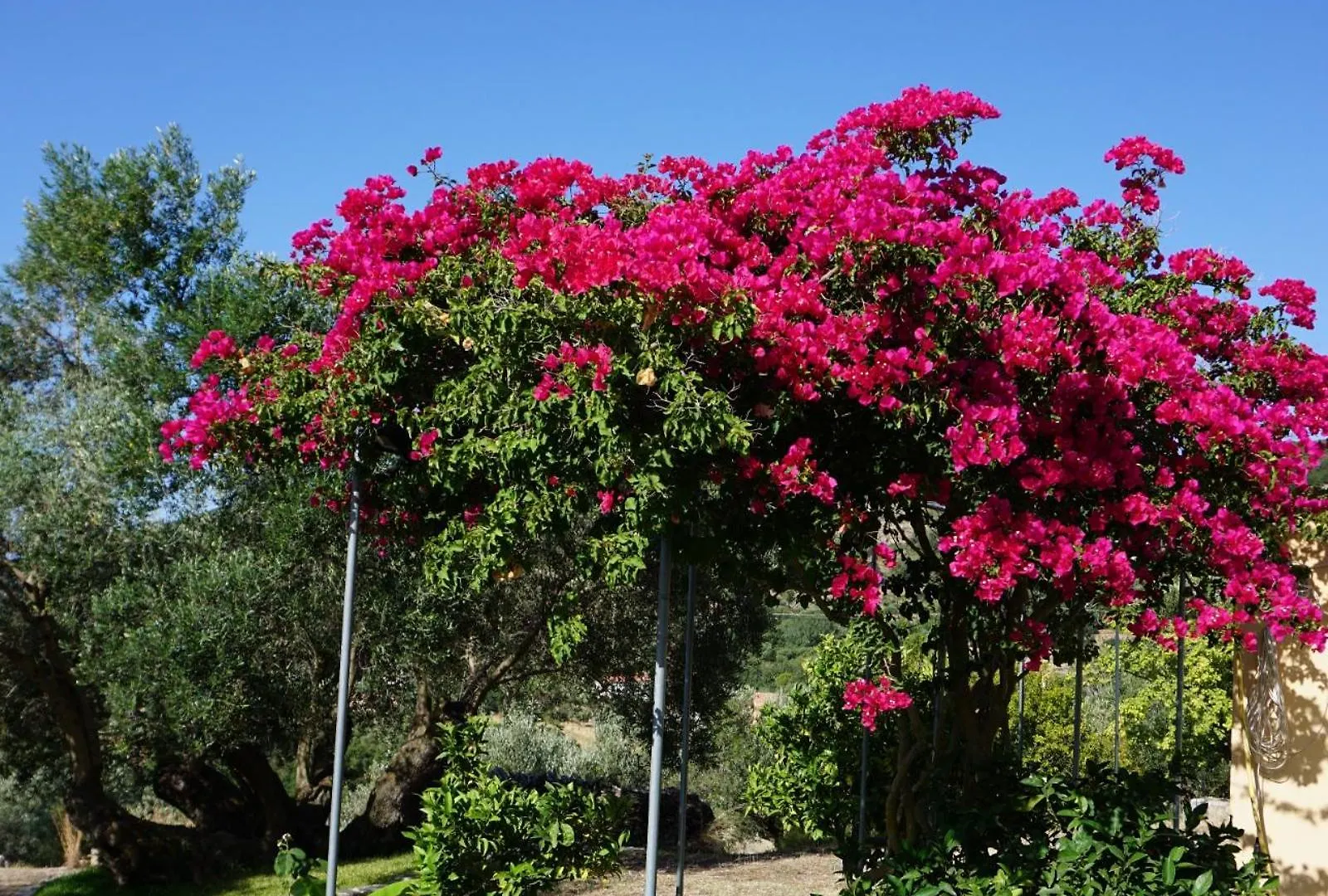 ליקסורי Ionian Overlook יוון