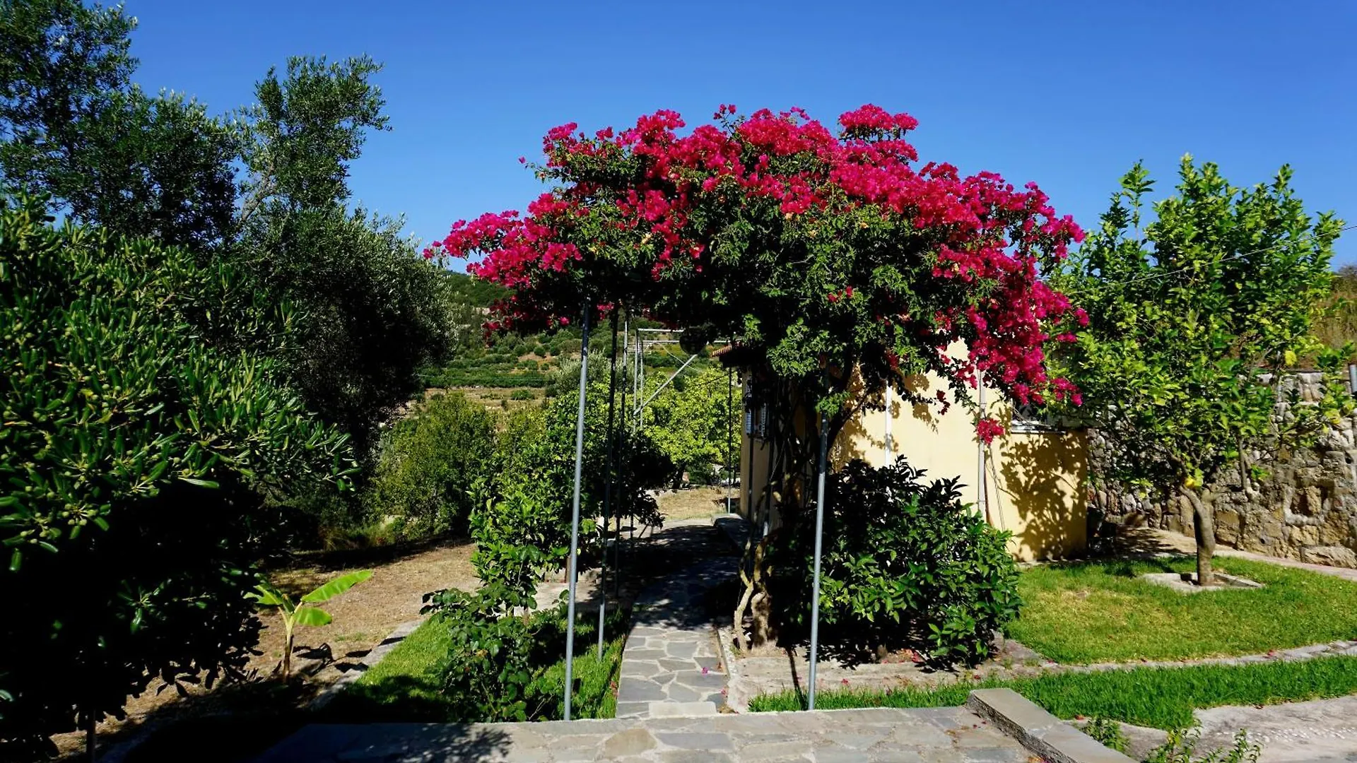 Ionian Overlook Lixouri